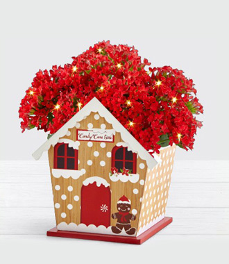 Festive Gingerbread House