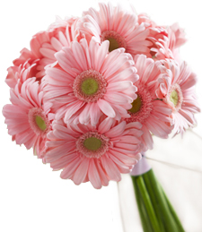 Pink Daisy Bouquet