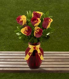 University of Minnesota� Golden Gopher� Rose Bouquet -6 Stems