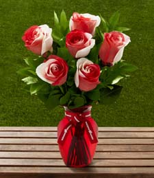 University of Wisconsin Badgers� Rose Bouquet - 6 Stems w/Vase