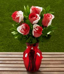 University of Arkansas� Razorbacks� Rose Bouquet - 6 Stems w/Vase