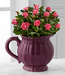 The FTD� Bountiful Beauty Mini Rose by Better Homes and Gardens�