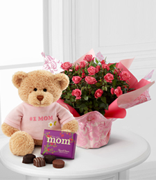 Sweet Memories Mother's Day Mini Rose with Bear & Chocolates - BEST