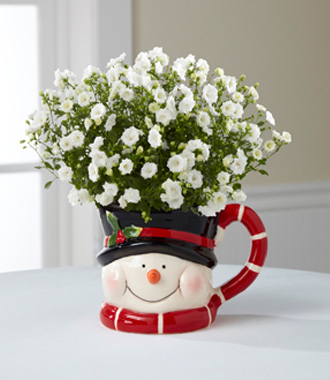 Snowman Surprises Holiday Campanula Plant