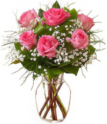 6 Pink Prom & Wedding Roses