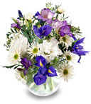 Delicate Splendor Get Well Bouquet