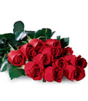 One Dozen Boxed Love Roses