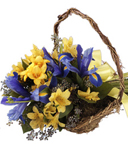Enchanted Hues Get Well Bouquet