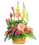 Country Expressions Get Well Bouquet
