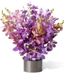 Just Flowers - item: Invigorate the Spirit