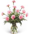 Sale: Pink Carnations