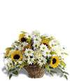 Sale: Basket - Yellow and White