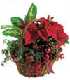 Holiday Planter Basket