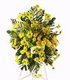 Yellow Standing Spray