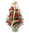 O Christmas Tree! Arrangement