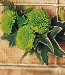 Greener Pastures Boutonniere