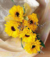 Daisy Chain Corsage