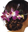 Elegant Orchid Headpiece