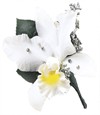 Purity of Soul Corsage