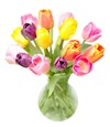 Simply Tulips