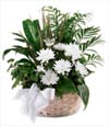 Peaceful Garden Basket