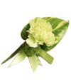 Green Tropics Boutonniere