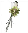 Exotic Nights Boutonniere