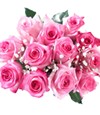 Sale: Pink Roses