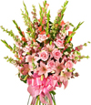 Pink Sympathy