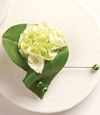 Greener Pastures Boutonniere