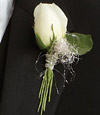 Innocent Love Boutonniere