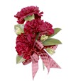 Crimson Carnations Trio
