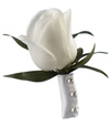 Solo Rose Boutonniere