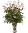 Powder Pink Roses