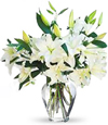 Fragrant White Sympathy Lilies