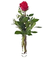 One Perfect Rose
