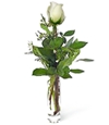 One Perfect Rose