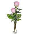 Two Pink Roses