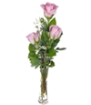 Three Pink Roses