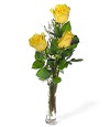Three Yellow Roses