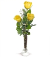 Three Yellow Roses