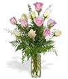 One-Dozen White & Pink Get Well Roses