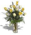 1-Dz White & Yellow Roses