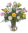 1-Dz Assorted Get Well Roses