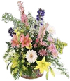 Sale: County Line Flowers