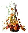 Vertical Spring Mix