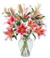 Lovely Lilies Sympathy Bouquet