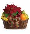 Poinsettia Fruit Basket