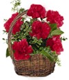 Carnation Basket