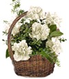 Carnation Basket